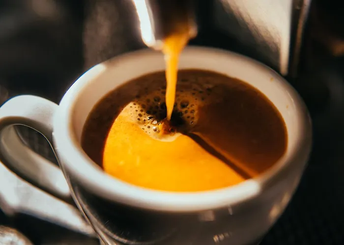 Garner Frankfurt - Palmengarten By Ihg מלון פרנקפורט